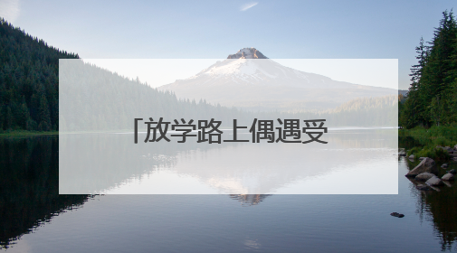 放学路上偶遇受伤夜鹭，聊城三名小学生求助民警