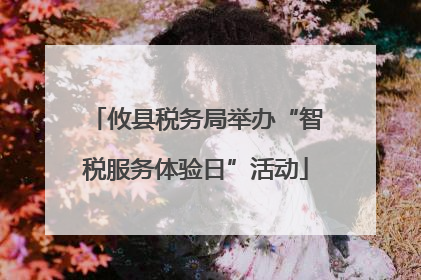 攸县税务局举办“智税服务体验日”活动
