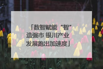 数智赋能“智”造强市 银川产业发展跑出加速度