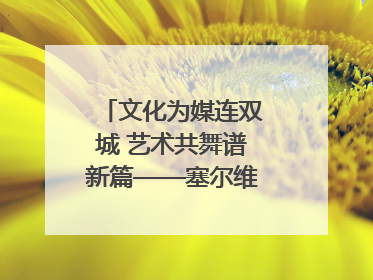 文化为媒连双城 艺术共舞谱新篇——塞尔维亚科瓦契察市代表团访问日照