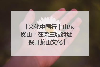 文化中国行｜山东岚山：在尧王城遗址探寻龙山文化