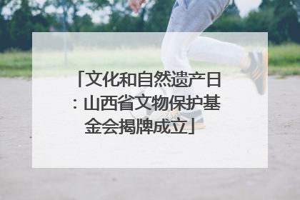 文化和自然遗产日：山西省文物保护基金会揭牌成立