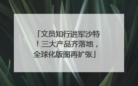 文员知行进军沙特！三大产品齐落地，全球化版图再扩张