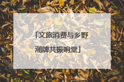 文旅消费与乡野潮牌共振响堂
