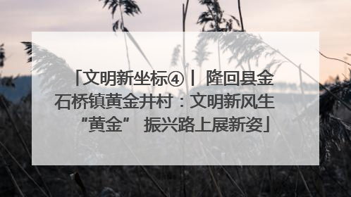 文明新坐标④丨 隆回县金石桥镇黄金井村：文明新风生“黄金” 振兴路上展新姿