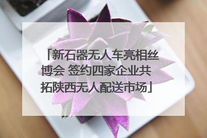 新石器无人车亮相丝博会 签约四家企业共拓陕西无人配送市场