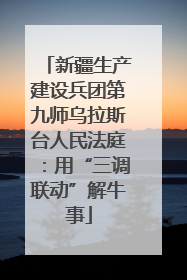 新疆生产建设兵团第九师乌拉斯台人民法庭：用“三调联动”解牛事