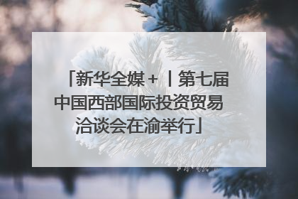 新华全媒＋丨第七届中国西部国际投资贸易洽谈会在渝举行