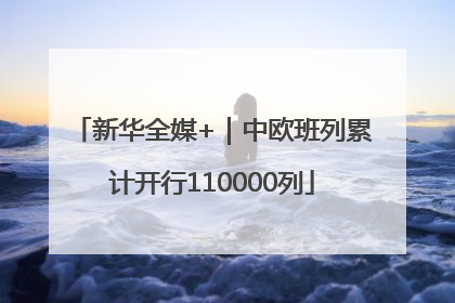新华全媒+｜中欧班列累计开行110000列