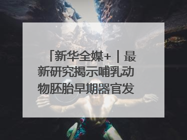 新华全媒+｜最新研究揭示哺乳动物胚胎早期器官发育“密码”