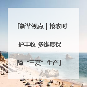 新华视点｜抢农时 护丰收 多维度保障“三夏”生产