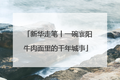 新华走笔丨一碗襄阳牛肉面里的千年城事
