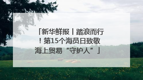 新华鲜报丨踏浪而行！第15个海员日致敬海上贸易“守护人”