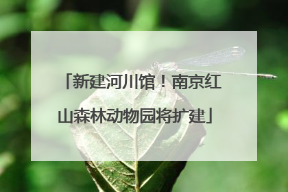 新建河川馆！南京红山森林动物园将扩建