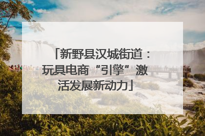 新野县汉城街道:玩具电商“引擎”激活发展新动力