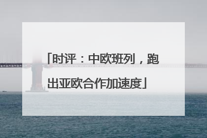 时评：中欧班列，跑出亚欧合作加速度