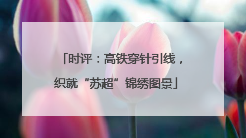 时评：高铁穿针引线，织就“苏超”锦绣图景