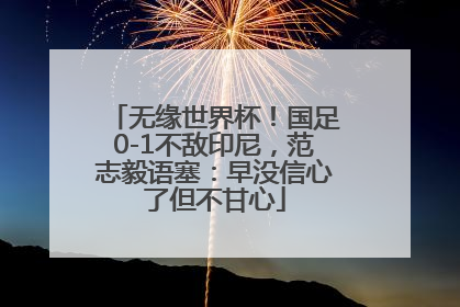 无缘世界杯！国足0-1不敌印尼，范志毅语塞：早没信心了但不甘心