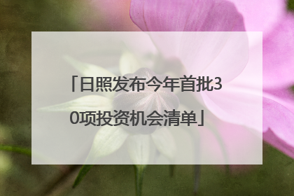 日照发布今年首批30项投资机会清单
