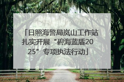 日照海警局岚山工作站扎实开展“碧海蓝盾2025”专项执法行动