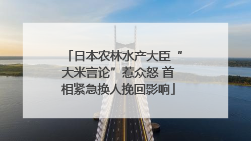 日本农林水产大臣“大米言论”惹众怒 首相紧急换人挽回影响