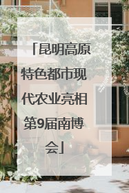 昆明高原特色都市现代农业亮相第9届南博会