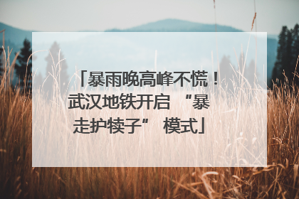 暴雨晚高峰不慌！武汉地铁开启 “暴走护犊子” 模式