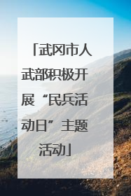 武冈市人武部积极开展“民兵活动日”主题活动