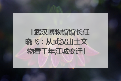 武汉博物馆馆长任晓飞：从武汉出土文物看千年江城变迁