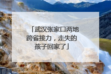 武汉张家口两地跨省接力，走失的孩子回家了