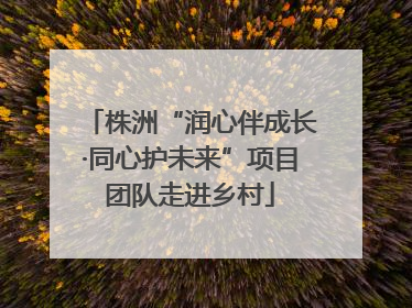 株洲“润心伴成长·同心护未来”项目团队走进乡村