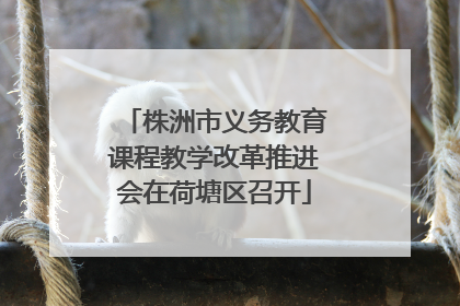 株洲市义务教育课程教学改革推进会在荷塘区召开
