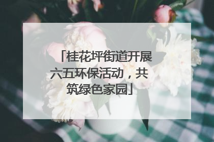 桂花坪街道开展六五环保活动，共筑绿色家园