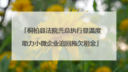 桐柏县法院善意执行显温度 助力小微企业追回拖欠租金