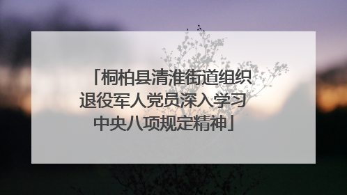 桐柏县清淮街道组织退役军人党员深入学习中央八项规定精神
