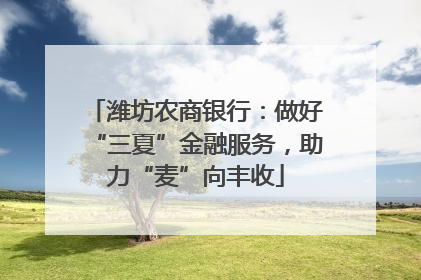 潍坊农商银行：做好“三夏”金融服务，助力“麦”向丰收
