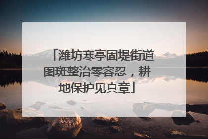 潍坊寒亭固堤街道图斑整治零容忍，耕地保护见真章