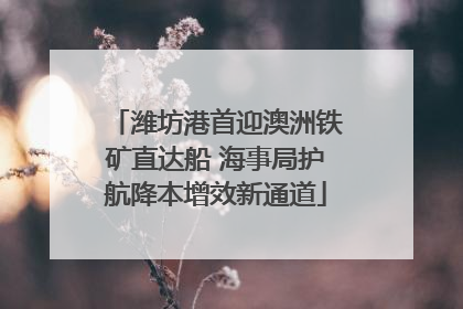 潍坊港首迎澳洲铁矿直达船 海事局护航降本增效新通道