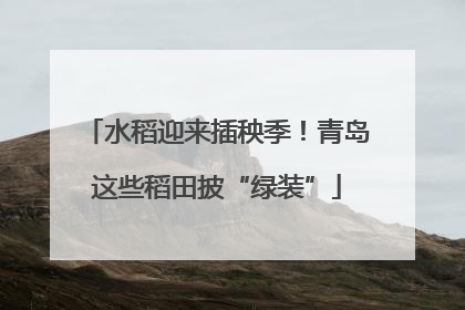 水稻迎来插秧季！青岛这些稻田披“绿装”