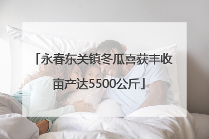 永春东关镇冬瓜喜获丰收 亩产达5500公斤