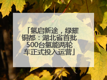 氢启新途，绿耀铜都：湖北省首批500台氢能两轮车正式投入运营