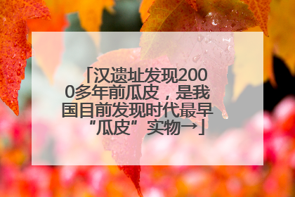 汉遗址发现2000多年前瓜皮，是我国目前发现时代最早“瓜皮”实物→