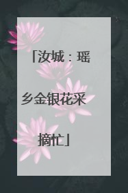 汝城：瑶乡金银花采摘忙