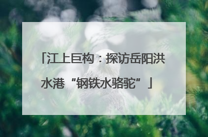 江上巨构：探访岳阳洪水港“钢铁水骆驼”