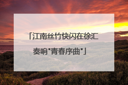 江南丝竹快闪在徐汇奏响