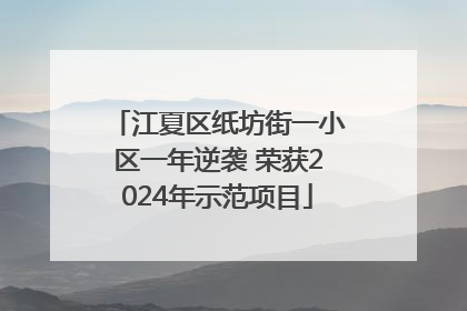 江夏区纸坊街一小区一年逆袭 荣获2024年示范项目