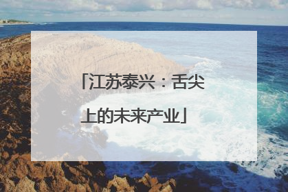 江苏泰兴：舌尖上的未来产业