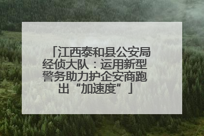 江西泰和县公安局经侦大队：运用新型警务助力护企安商跑出“加速度”