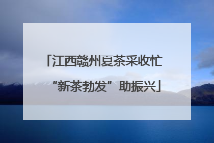 江西赣州夏茶采收忙 “新茶勃发”助振兴