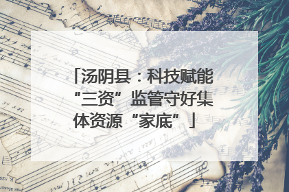 汤阴县：科技赋能“三资”监管守好集体资源“家底”
